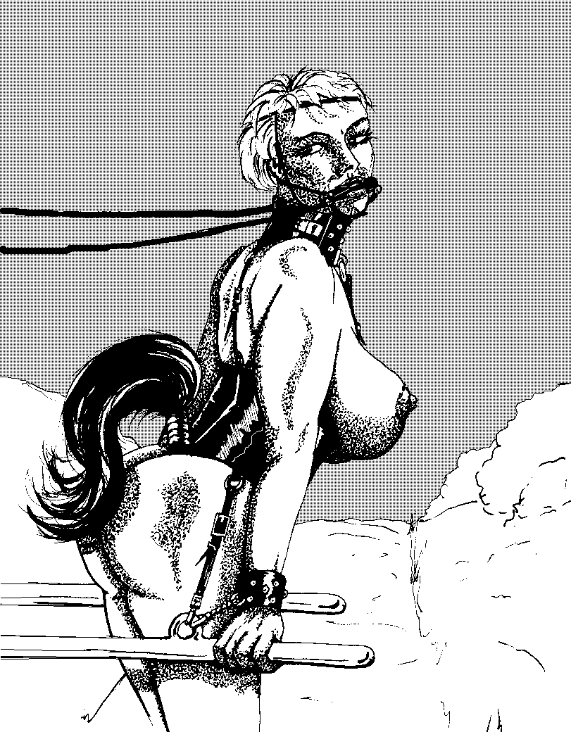 Ponygirl bondage stories